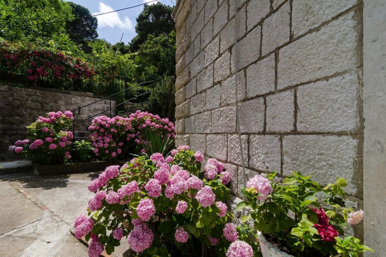 Apartment Djivo Dubrovnik Exteriör bild