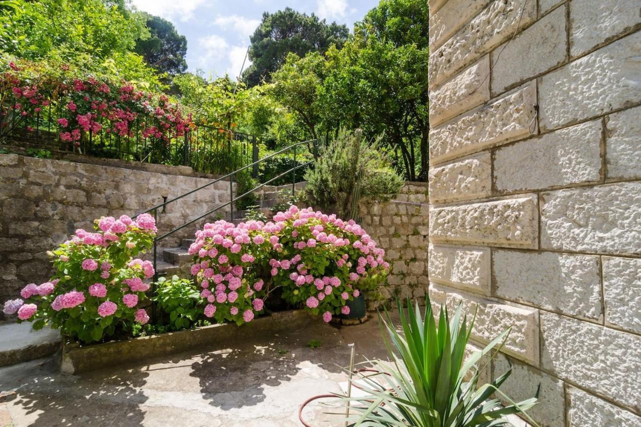 Apartment Djivo Dubrovnik Exteriör bild
